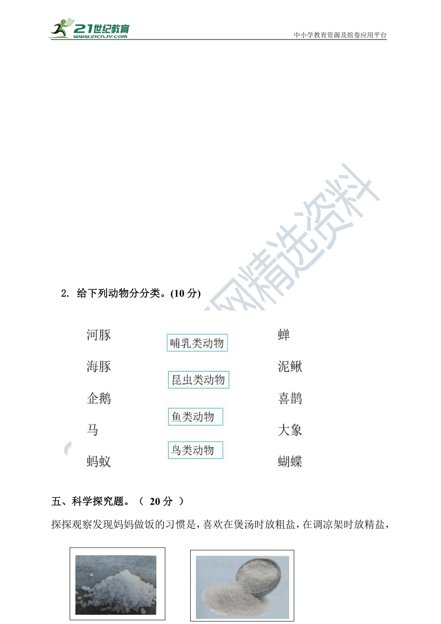 新大象版科学三上期中测试卷（含答案）