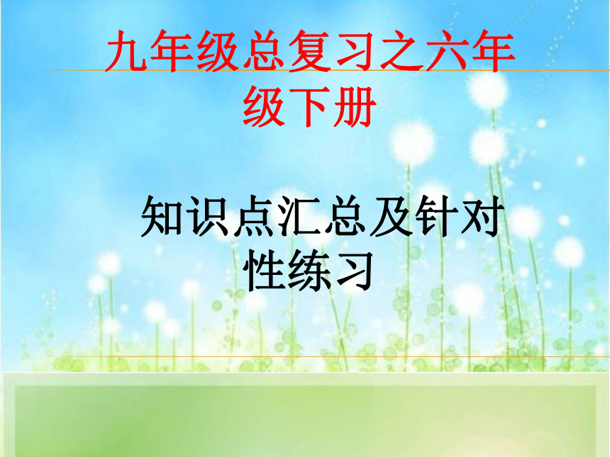 第四课时 六年级(下)Units(6-10)教材精讲精练课件—鲁教版中考英语一轮复习