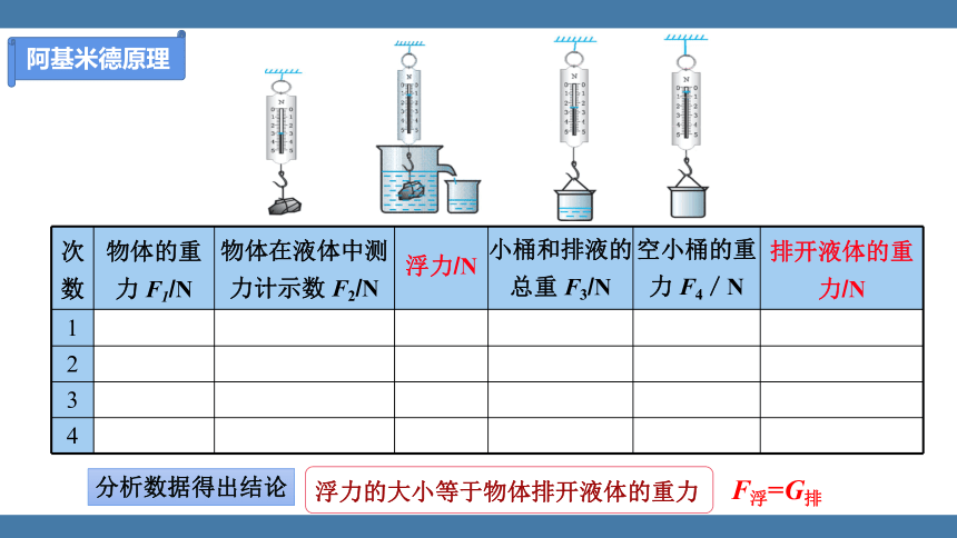 人教版八年级物理下册课件 (共24张PPT) 10.2 阿基米德原理