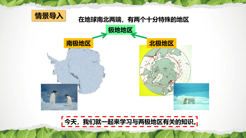 2020-2021学年人教版七年级地理下册第十章《极地地区》课件（共44张PPT）