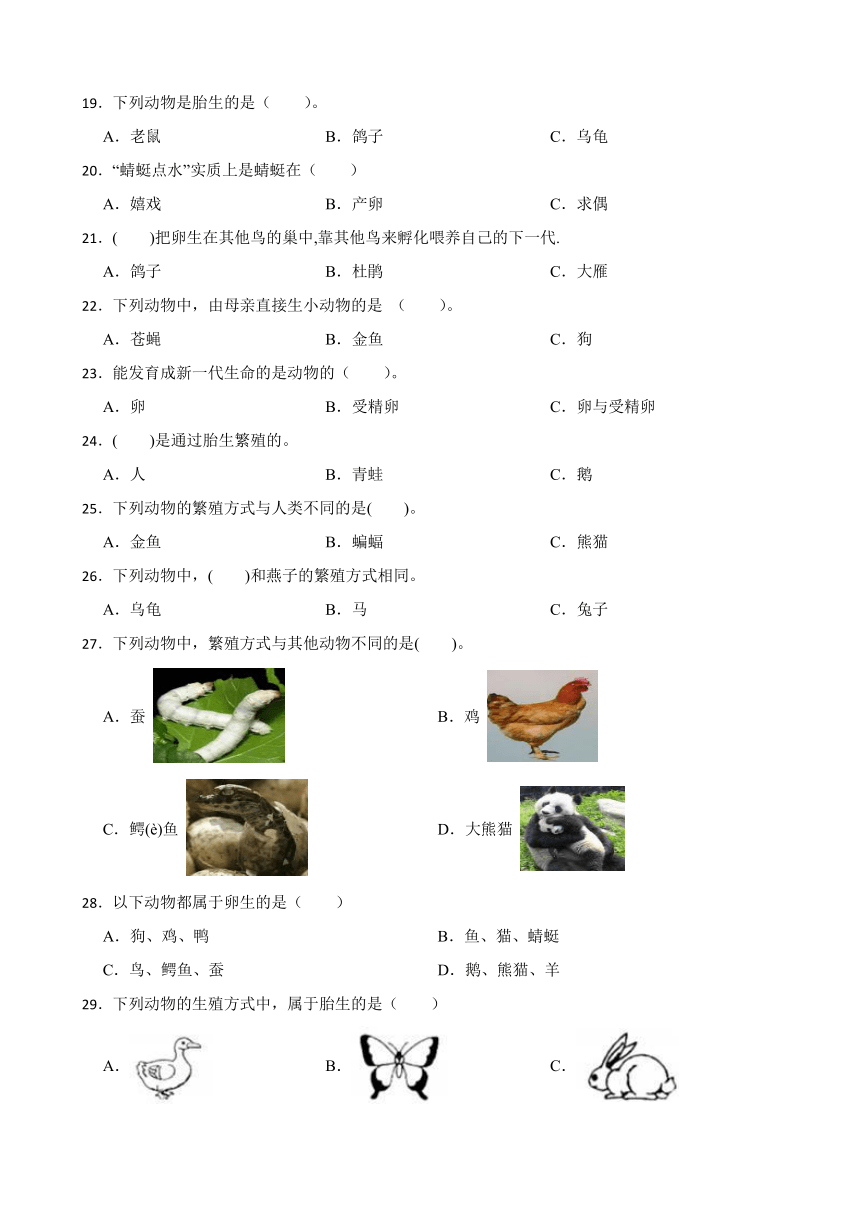 教科版（2017秋）三年级下册科学7.动物的繁殖练习题（含答案）