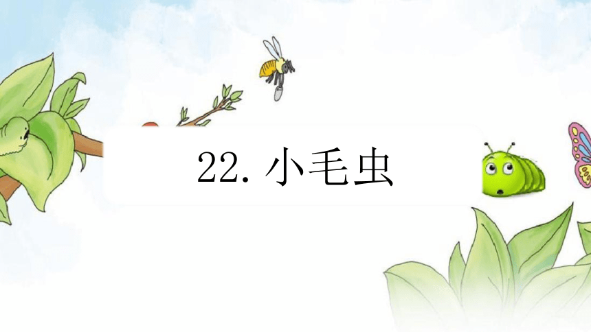 22 小毛虫 （课件）(共16张PPT)