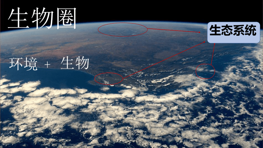 人教版生物七年级上册 1.2.2  生物与环境组成生态系统  2022-2023学年课件(共37张PPT)