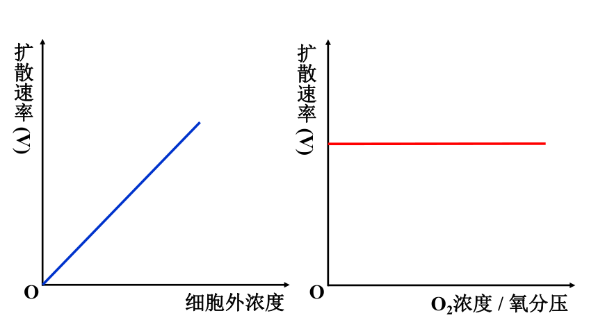 2021——2022学年高一上学期高中生物人教版  必修1 -4.3  物质跨膜运输的方式  课件（29张ppt)