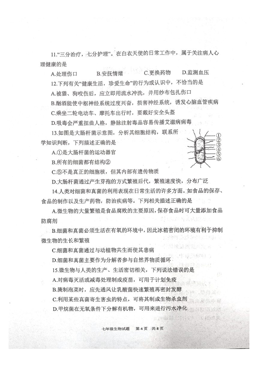 山东省泰安市宁阳县（五四学制）2022-2023学年七年级下学期期末考试生物试题（pdf版无答案）