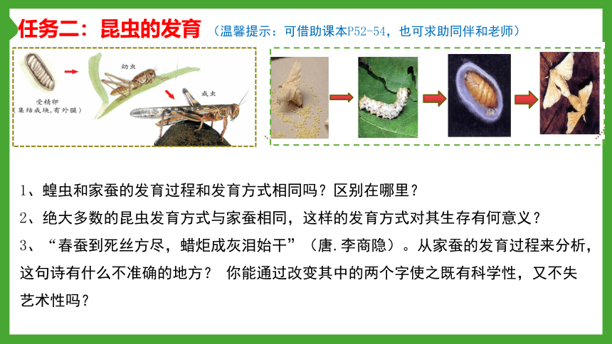 4.2.1昆虫的生殖和发育   课件(共16张PPT)2021--2022学年济南版八年级上册