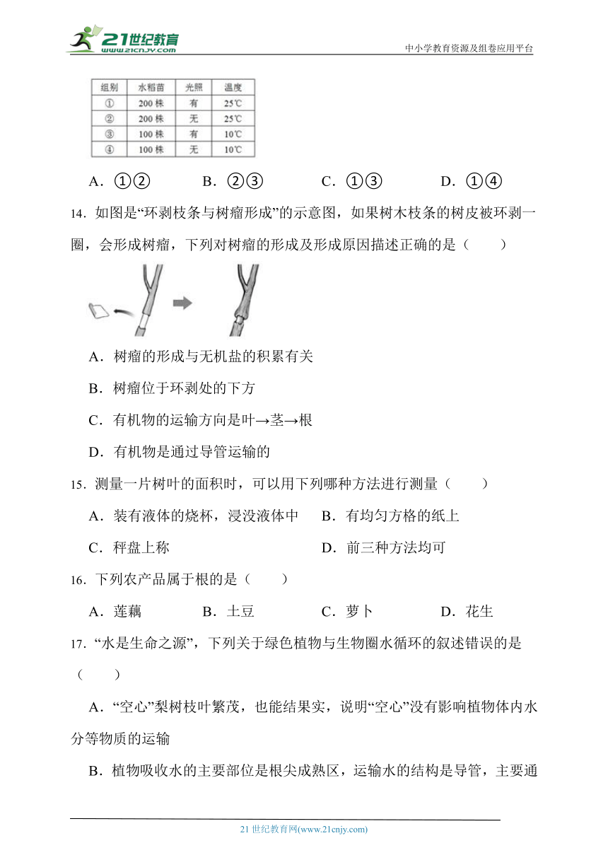 2022—2023年度七年级上册生物苏教版期末模拟试卷（三）（含解析）