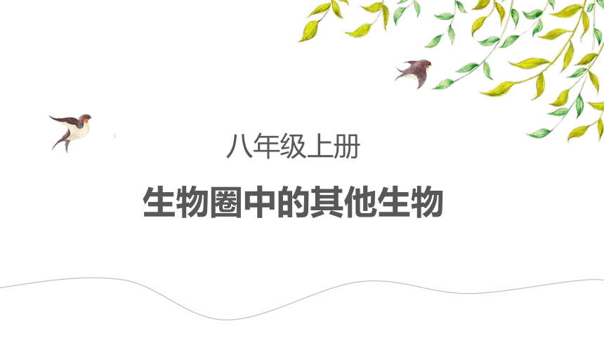 2022-2023学年人教版生物八年级上册 期末复习 课件 (共44张PPT)