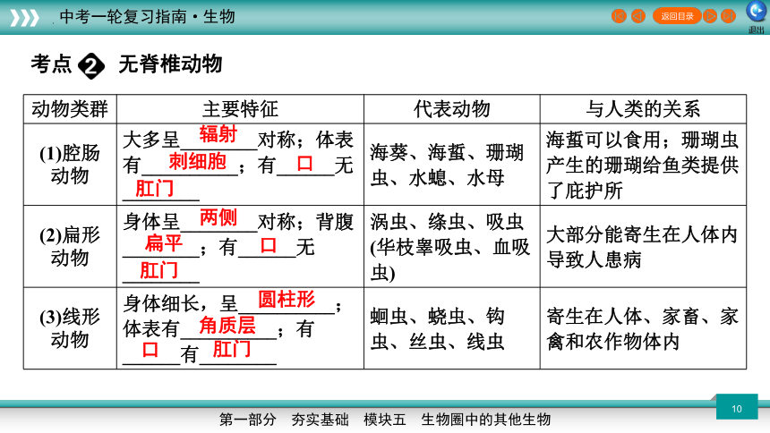 专题16 动物的主要类群-2023年新课标中考生物一轮复习课件（共46张PPT）