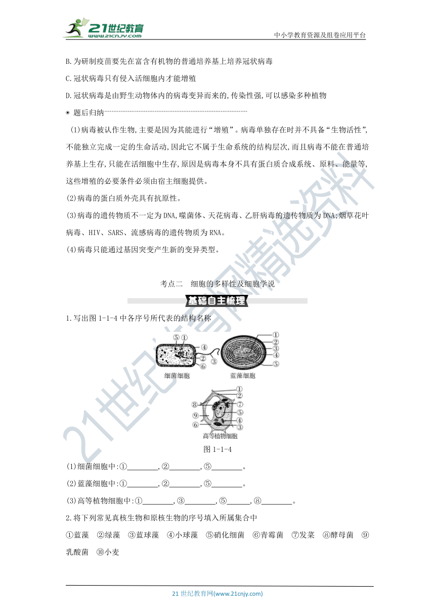 考点梳理&同步真题：第1讲   走近细胞（含答案详解）