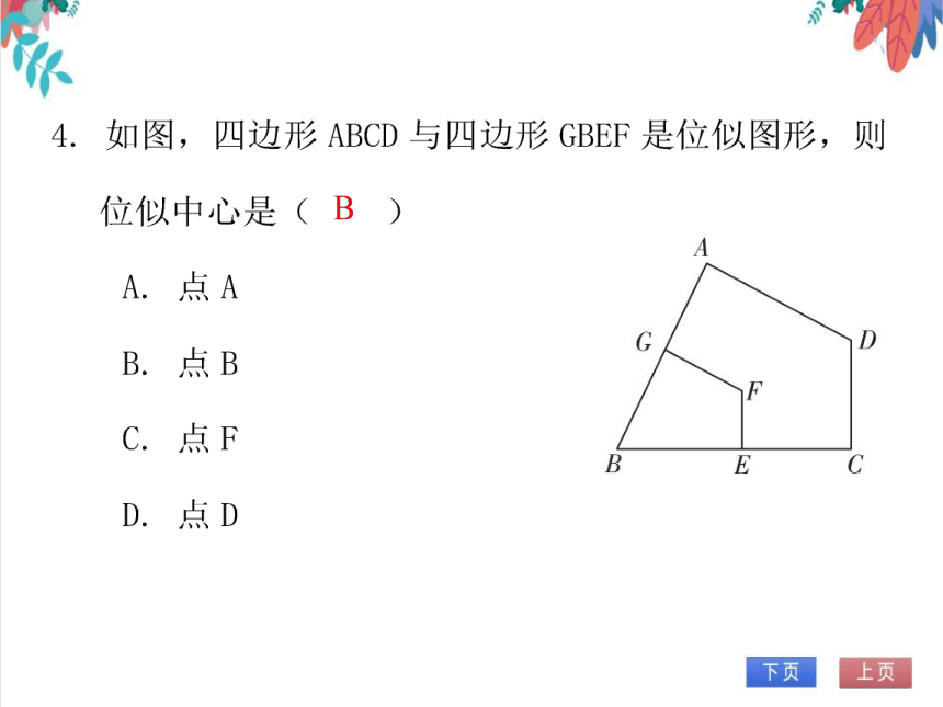 【北师大版】数学九年级（上）4.8.1 位似 习题课件