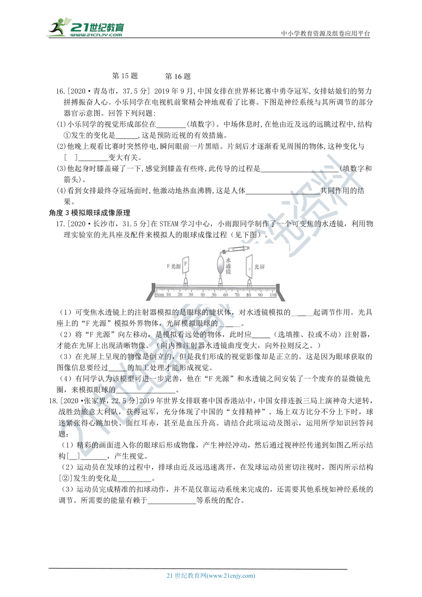 济南版中考真题汇编3.5.4人体对周围世界的感知（含答案）