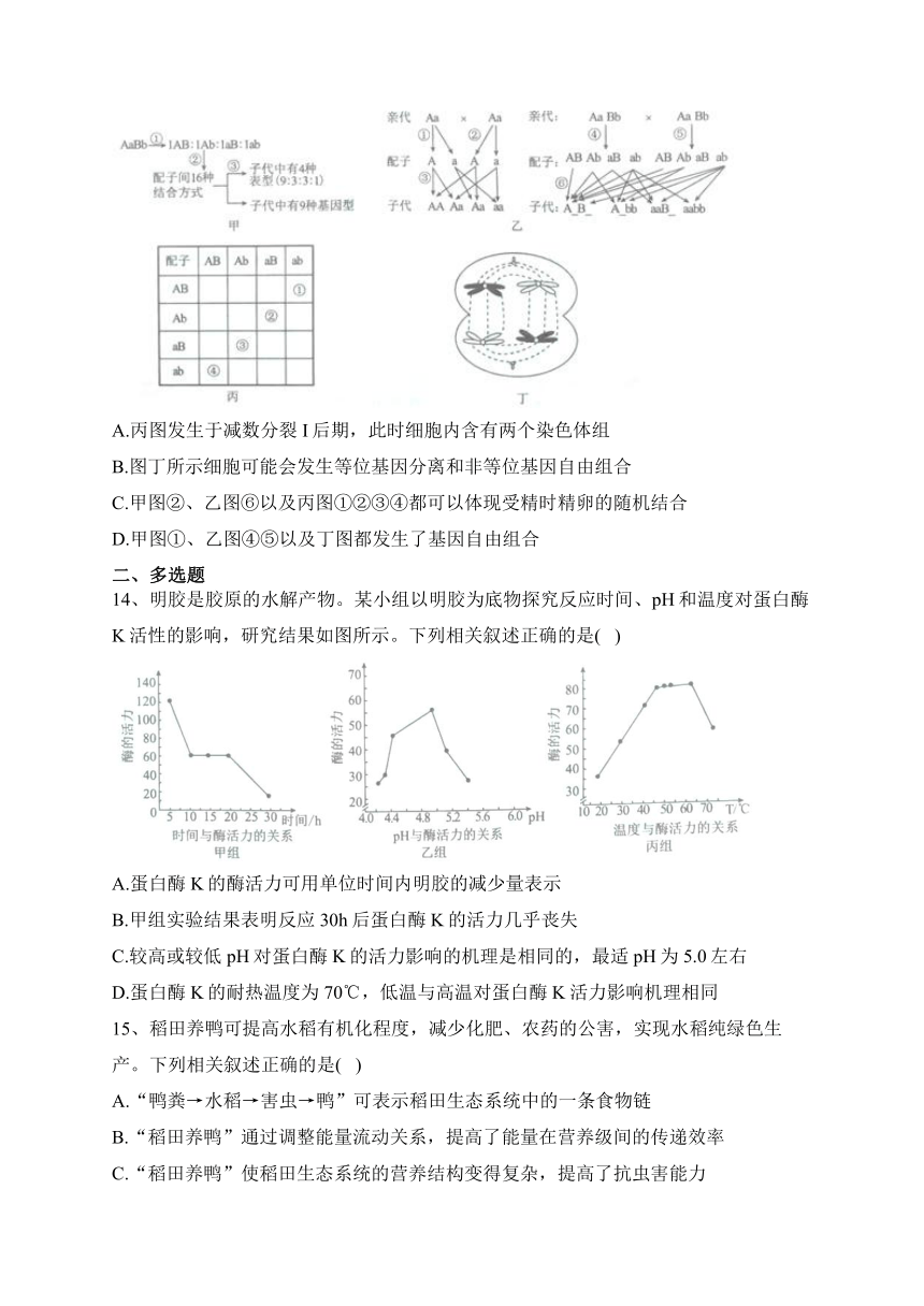 湖南省2023届高三下学期5月全真模拟适应性考生物试卷（含解析）