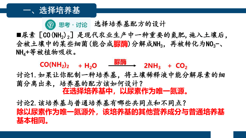 1.2.2微生物的选择培养和计数（第2课时）(共25张PPT)课件-人教版选择性必修三