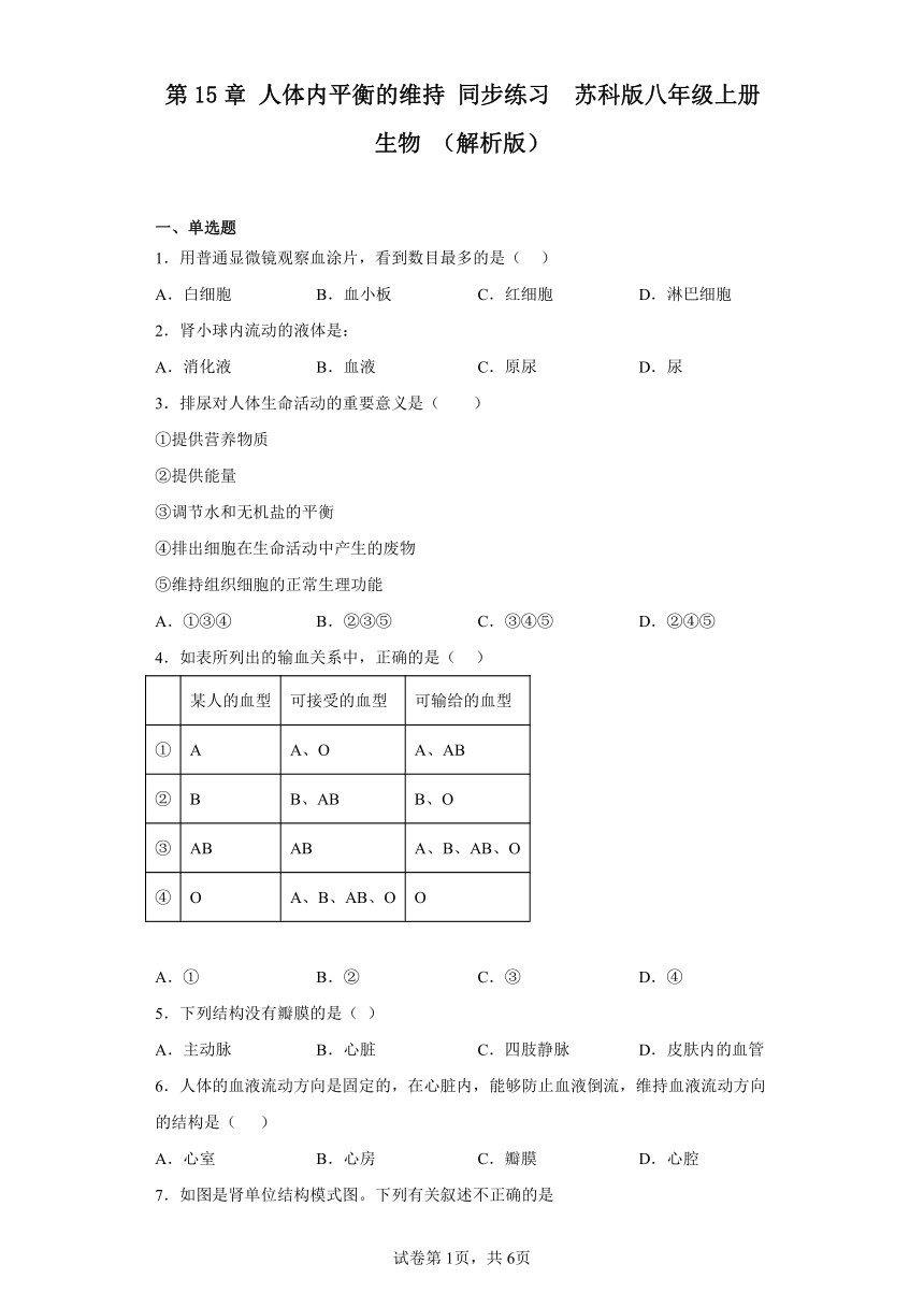 6.15 人体内平衡的维持 同步练习 （含解析） 苏科版八年级上册生物