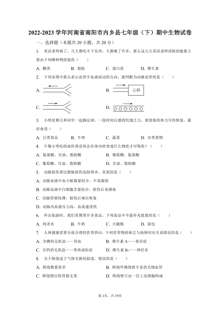 2022-2023学年河南省南阳市内乡县七年级（下）期中生物试卷（含解析）