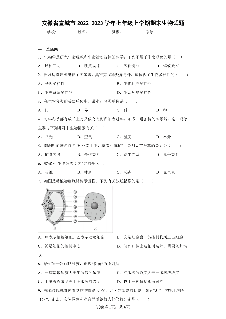 安徽省宣城市2022-2023学年七年级上学期期末生物试题(含答案)