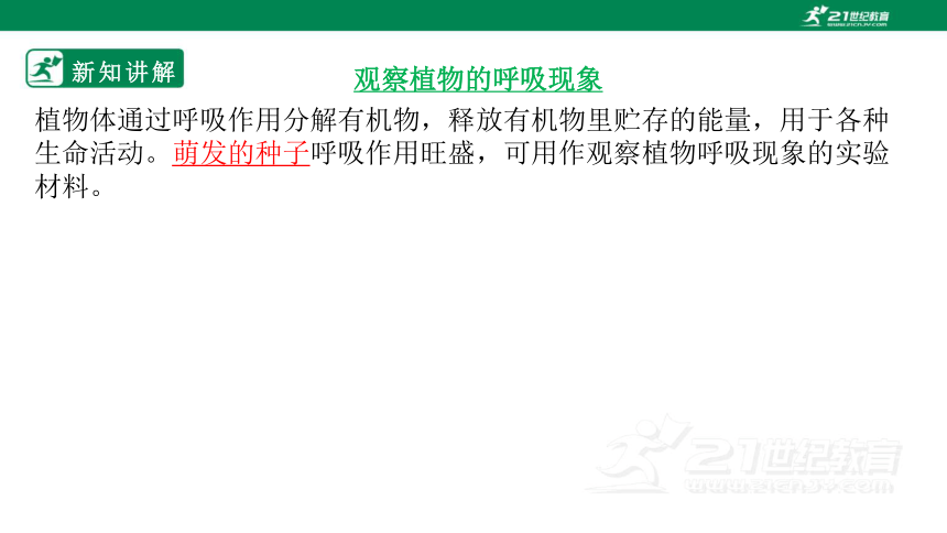 北师大版3.5.2 呼吸作用-2022-2023学年七年级生物上册同步课件（共30页）