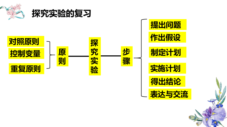 3.2.1 种子的萌发课件(共28张PPT) 人教版七年级生物上册