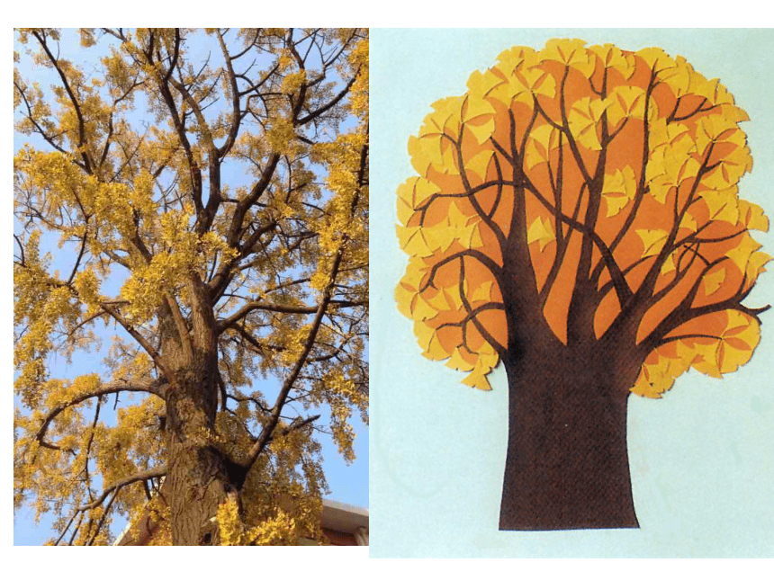 苏少版 二年级下册美术 第9课 会变的花、树、叶丨课件（16张PPT）