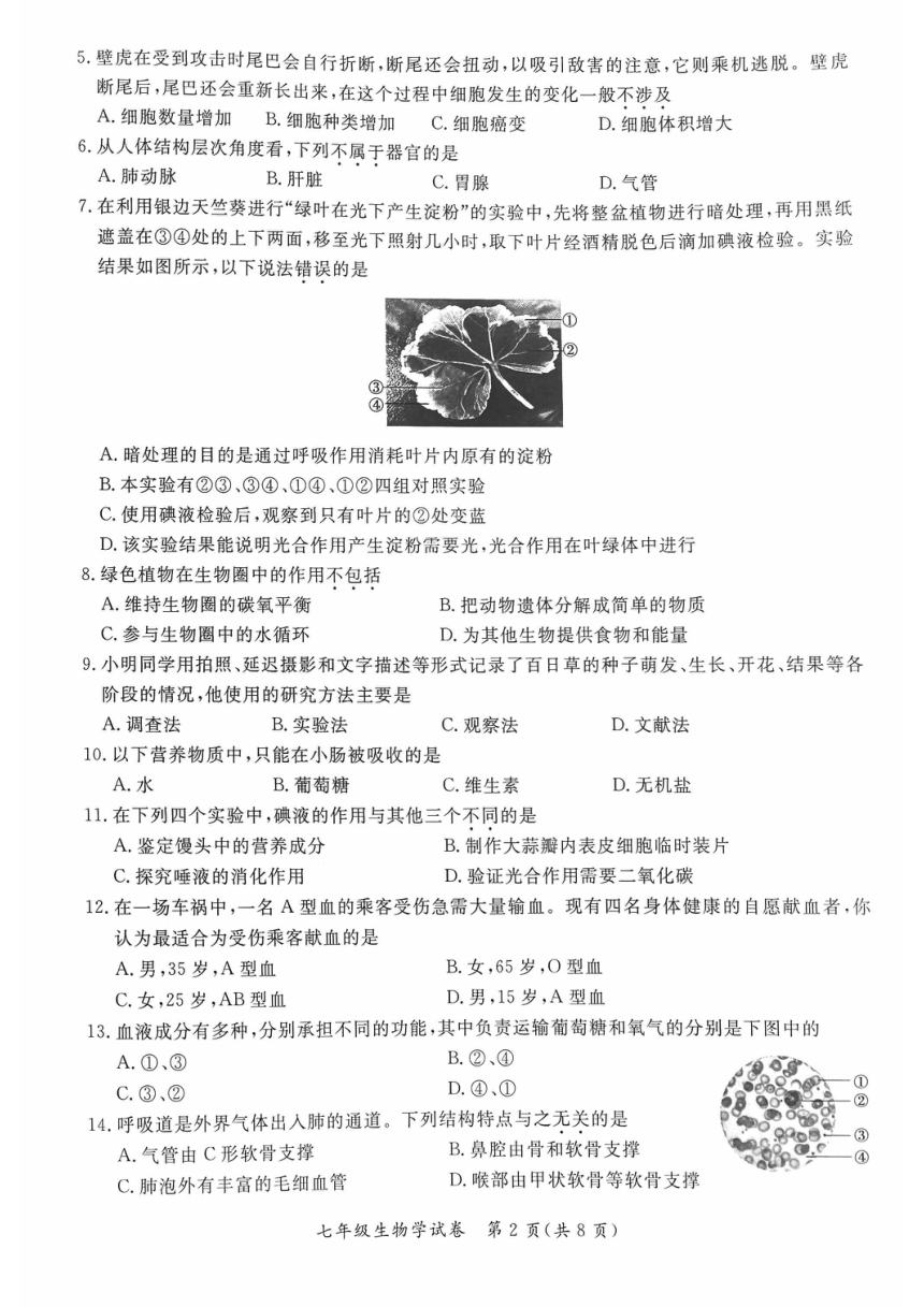 北京市通州区2022-2023学年七年级下学期期中考试生物试卷（pdf版无答案）