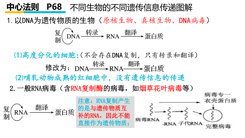 2021-2022学年高一下学期生物人教版必修2  4.2基因对性状的控制课件 （27张ppt）