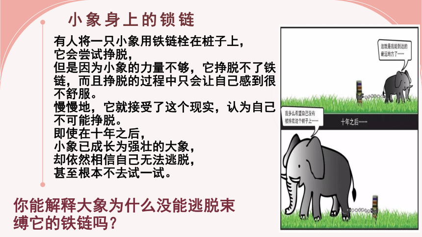 2023-2024学年高中上学期心理健康教育主题班会 “悦纳自我，向阳而生”  课件 (16张PPT)