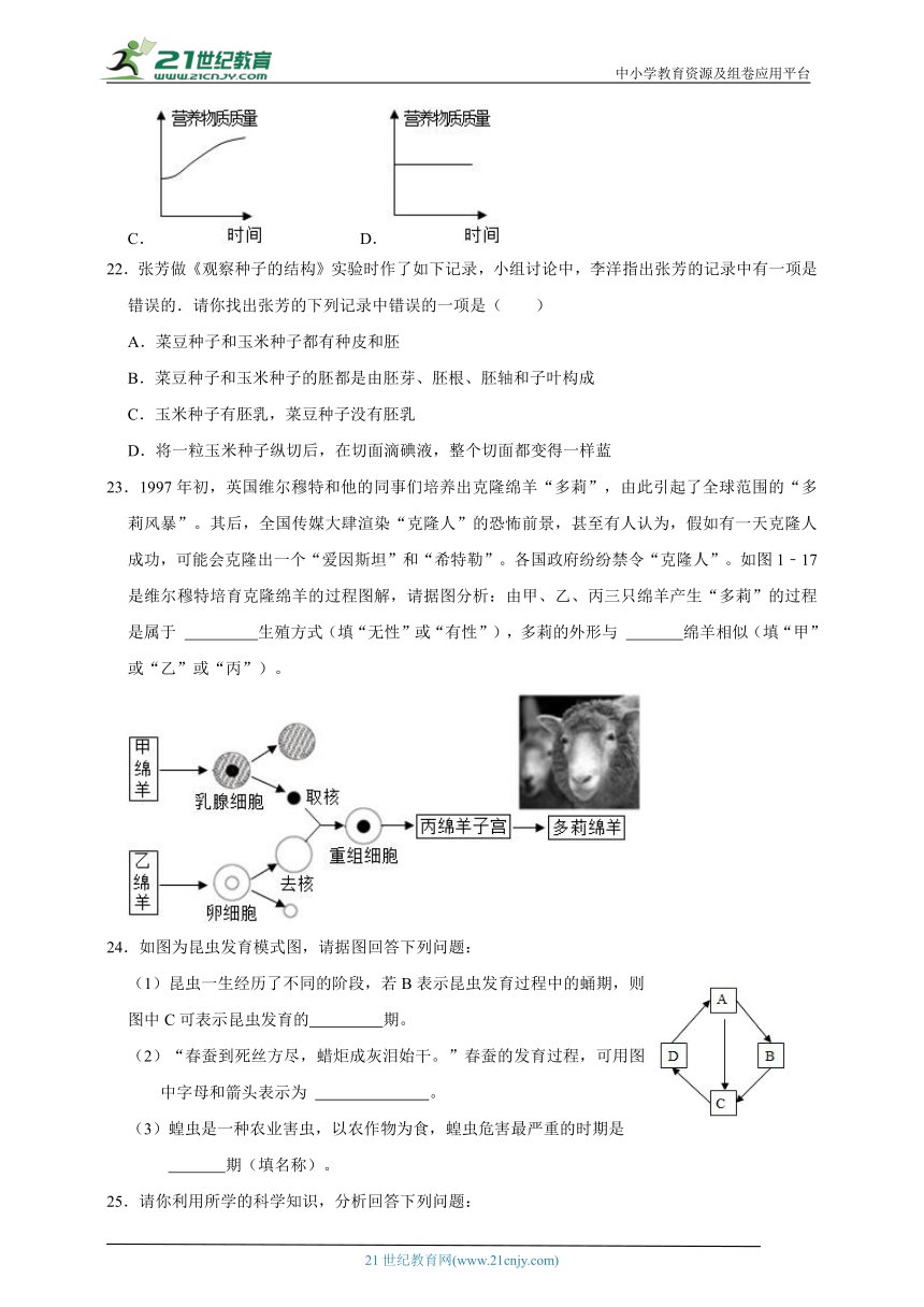 浙教版七下科学期中专题02 动物的生长时期与植物的一生（含答案）