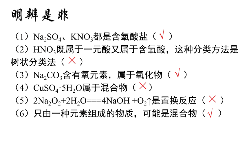 1.1物质的分类和转化 课件(共41张PPT)