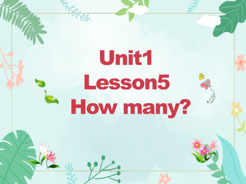 Unit1  Lesson 5  How  Many？课件(共19张PPT)