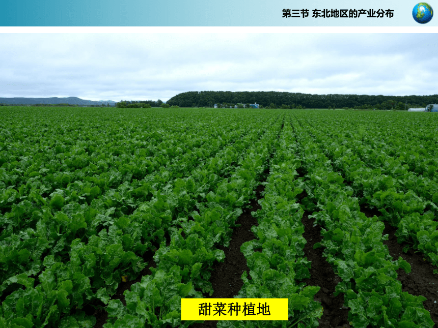 2021-2022学年湘教版地理八年级下册 6.3 东北地区的产业分布 课件(共31张PPT)