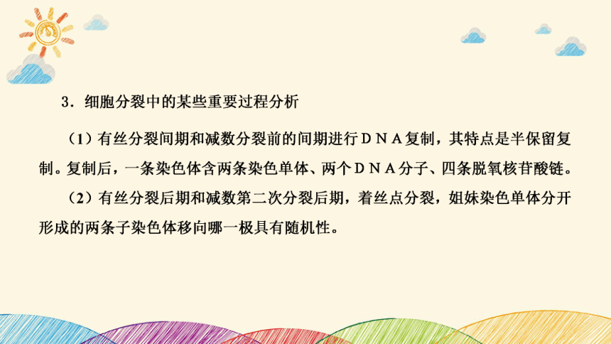 高考生物二轮重点讲练课件：科学思维之微专题2 结合同位素标记研究细胞分裂中的ＤＮＡ复制(共23张PPT)