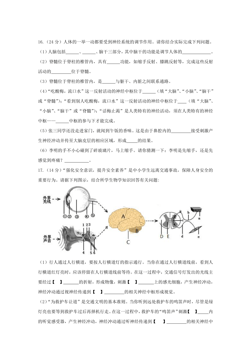 冀教版七年级下2.4合理用脑高效学习  单元测试培优卷（含答题卡+答案）