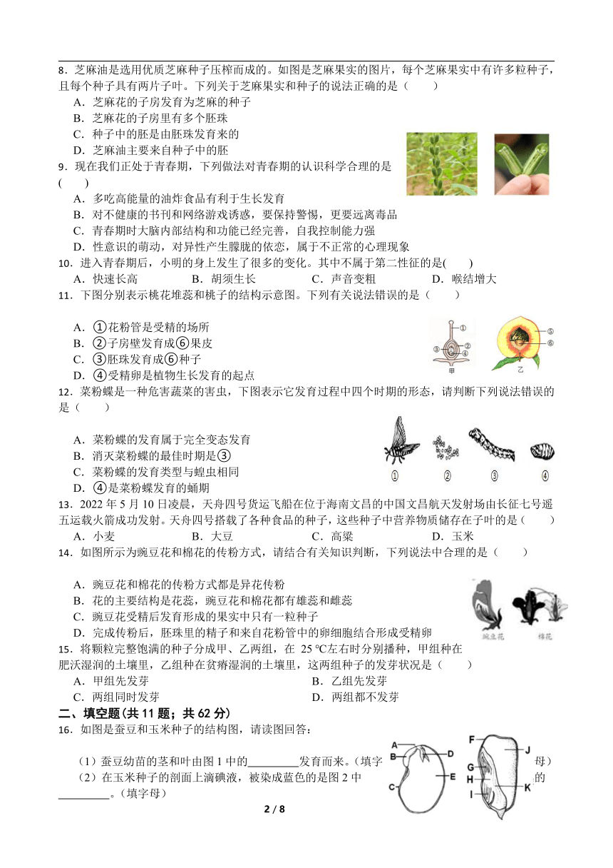 第1章  代代相传的生命  期末复习卷（含答案）