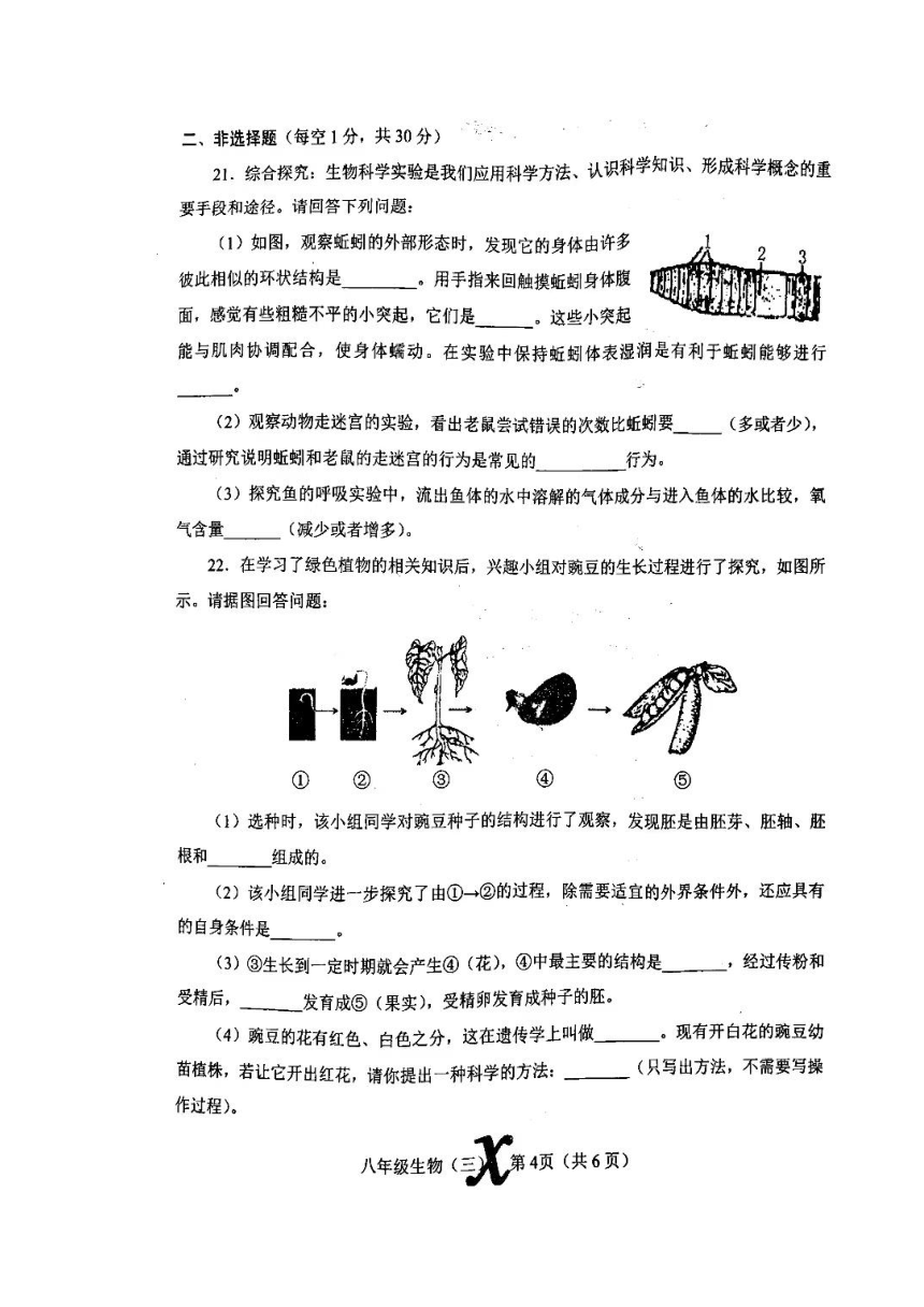 2023年河南省南阳市内乡县三模生物试题（50分制）（无答案）