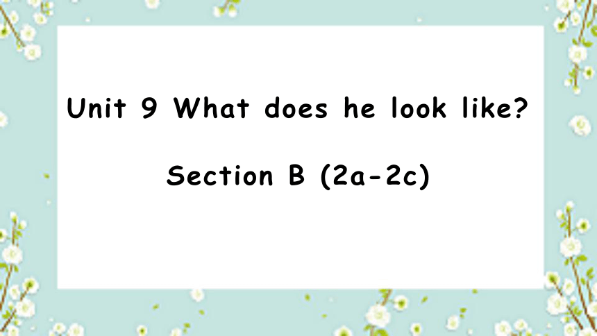Unit 9 What does he look like Section B 2a-2c  人教版七年级下册英语课件(共17张PPT)