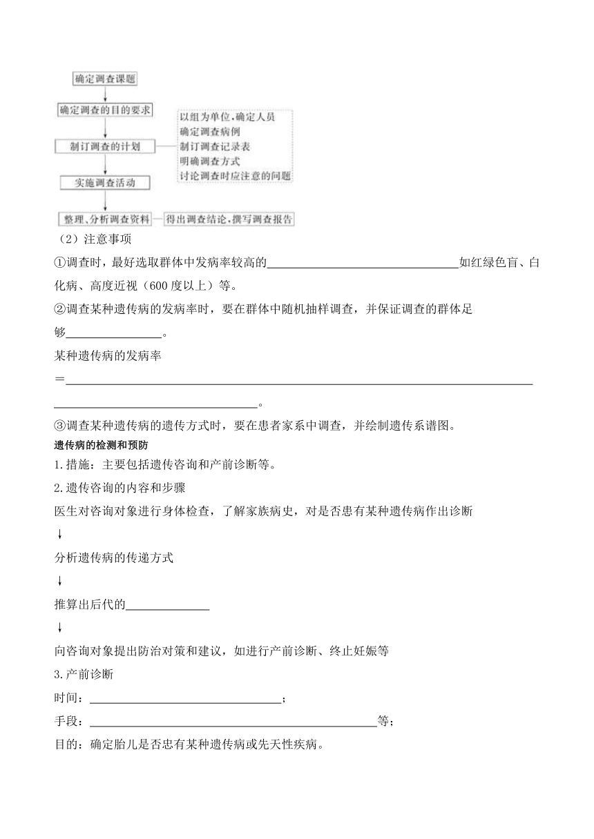 5.3人类遗传病学案