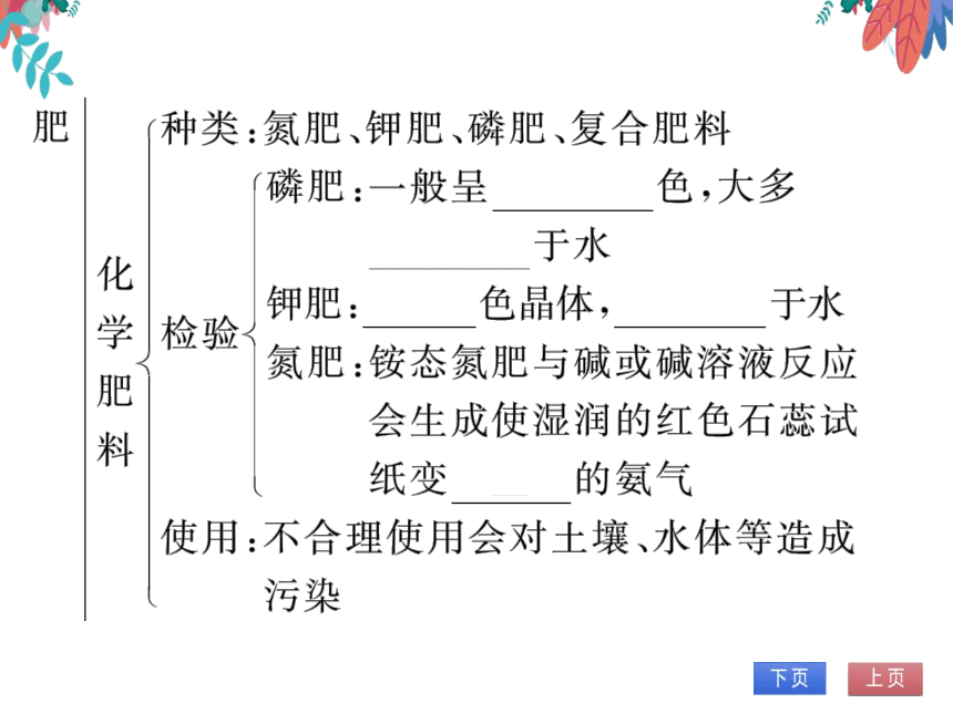 【人教版】化学九年级下册-第十一单元 整理与复习 (习题课件)