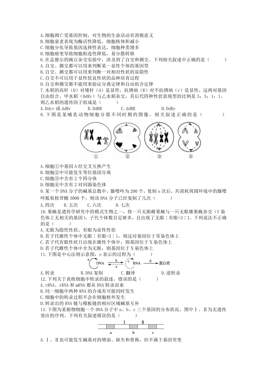 吉林省长春市2020-2021学年高一下学期期末联考生物试题（Word版含答案）