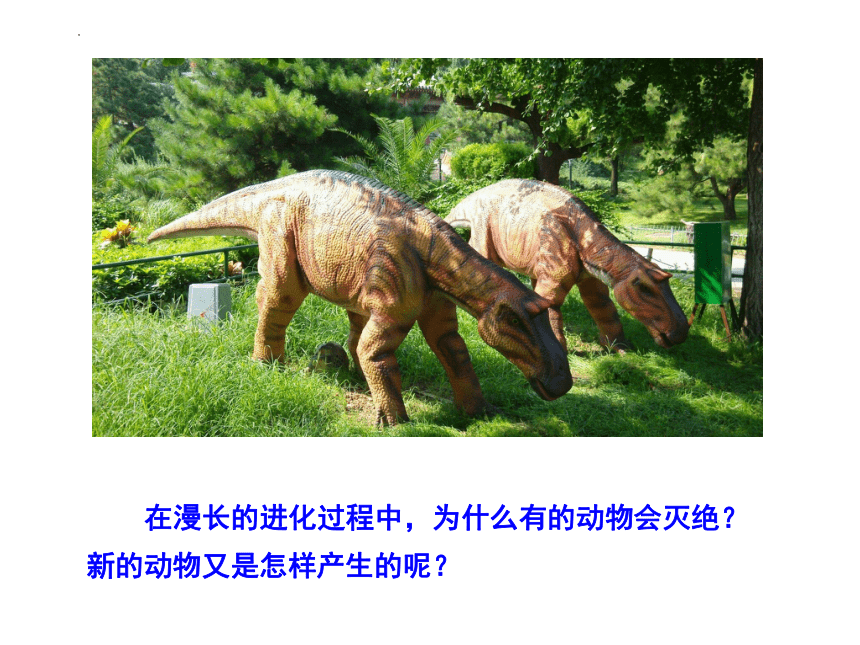 2021--2022学年人教版生物八年级下册7.3.3生物进化的原因课件(共43张PPT)