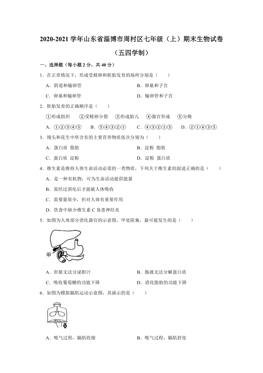 2020-2021学年山东省淄博市周村区七年级（上）期末生物试卷（五四学制）  （ 含解析)