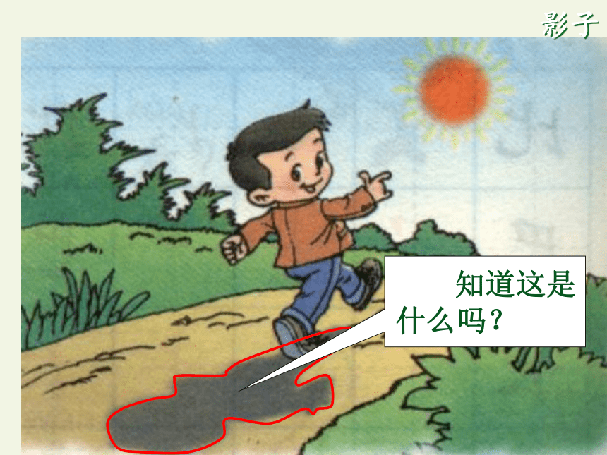 5.影子 课件(共43张PPT)