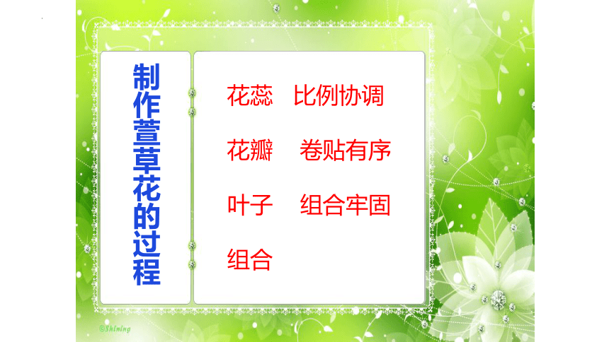 花球多多真美丽（课件）(共16张PPT+视频)二年级上册劳动鄂教版