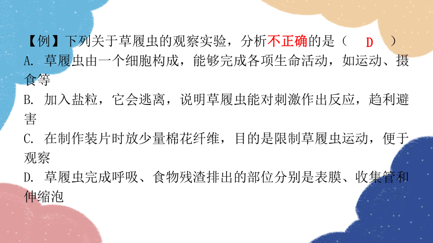 人教版生物七年级上册 2.2.4单细胞生物课件(共30张PPT)