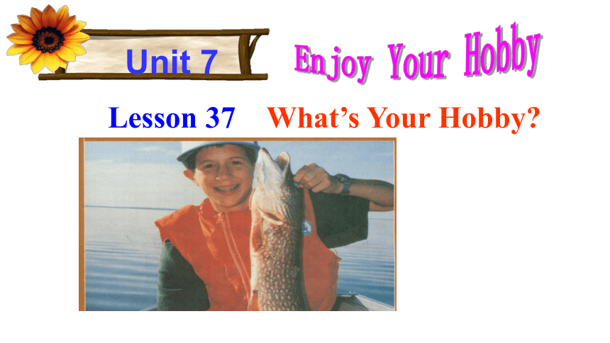 冀教版八年级上Unit 7 Enjoy Your Hobby Lesson 37 What's Your Hobby ? 课件(共27张PPT)
