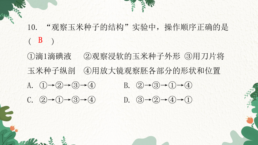 人教版生物七年级上册 第三单元生物圈中的绿色植物水平测试卷习题课件(共44张PPT)