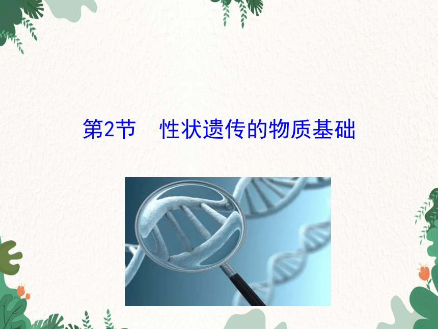 北师大版生物八年级上册 第20章第2节 性状遗传的物质基础 课件(共18张PPT)