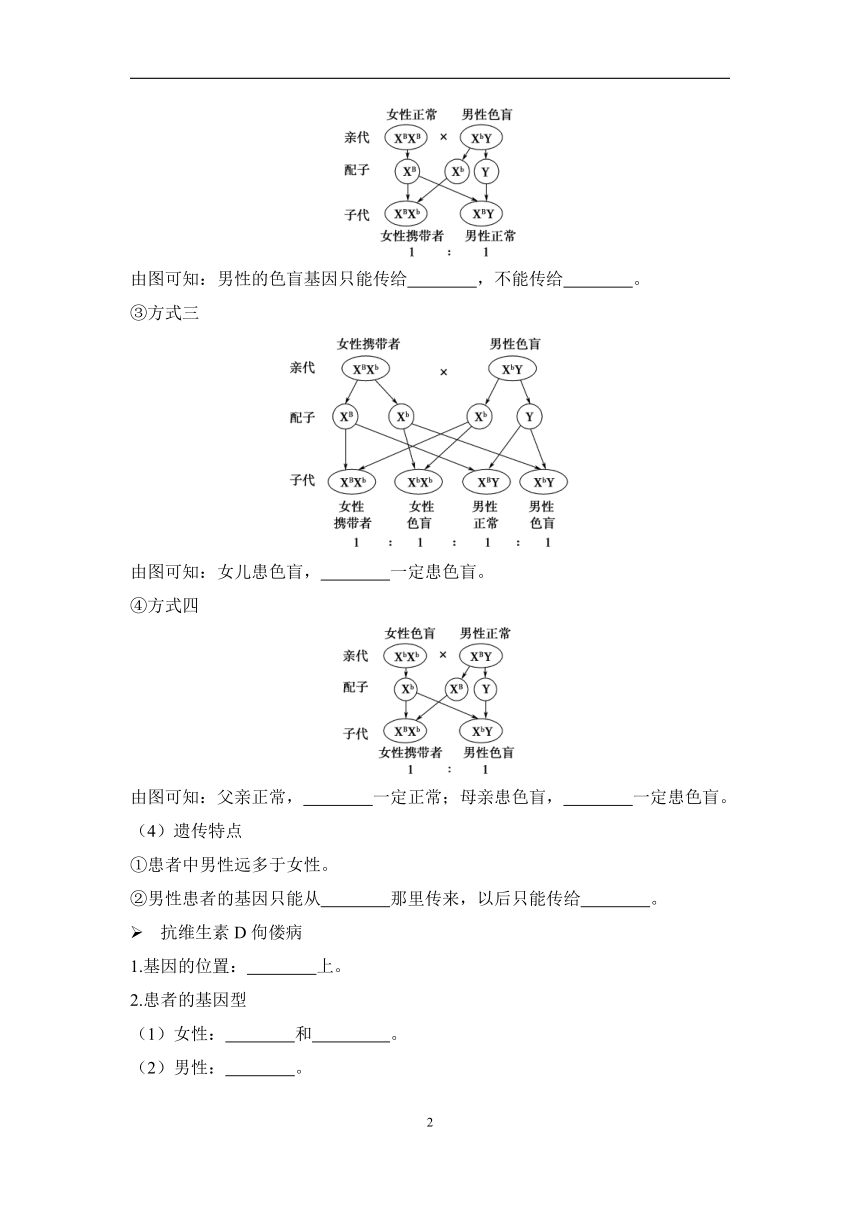 2.3伴性遗传——2022-2023学年高一生物学人教版（2019）必修二课前导学（含解析）