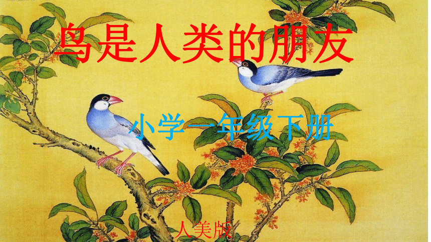 一年级下册美术课件-第10课.  鸟是人类的朋友 ▏人美版（北京）(15 张PPT)