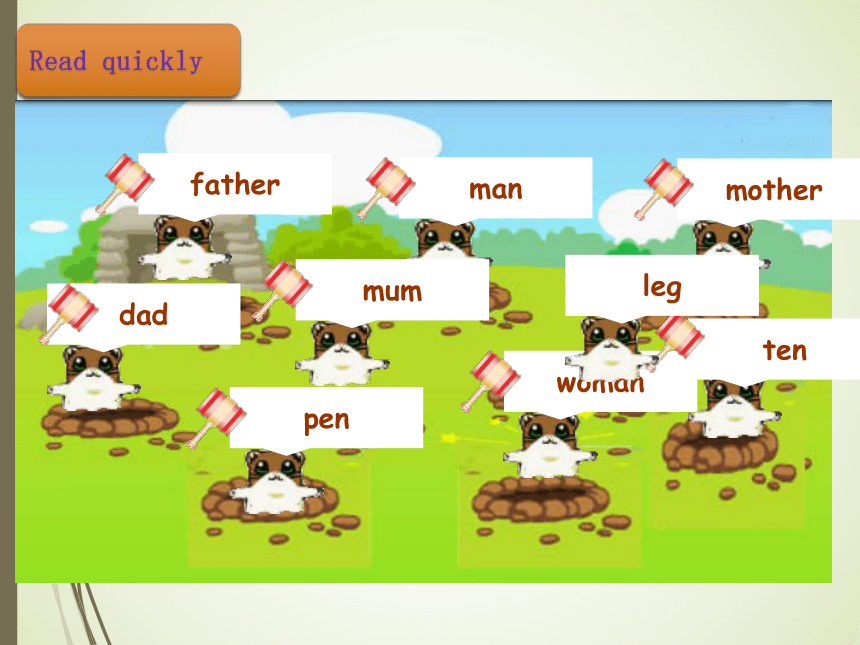Unit 2 My family Part B Let’s learn课件(共21张PPT)